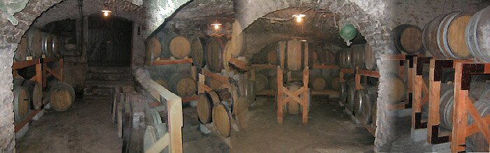 Caves du domaine